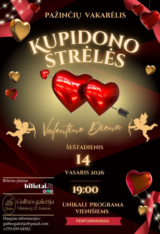 Купить билеты KUPIDONO STRĖLĖS | Valentino dienos pažinčių vakarėlis vienišiems Kaunas, Gulbės galerija Февраль 14