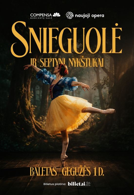 Pirkti bilietus (Vilnius) Baletas 