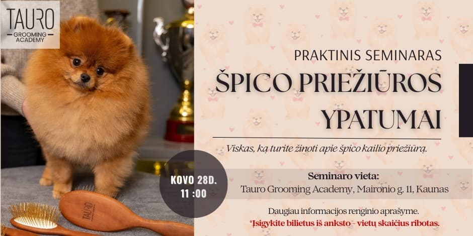Pirkti bilietus Špico priežiūros ypatumai - praktinis seminaras Kaunas, Tauro Grooming Academy Kovas 28