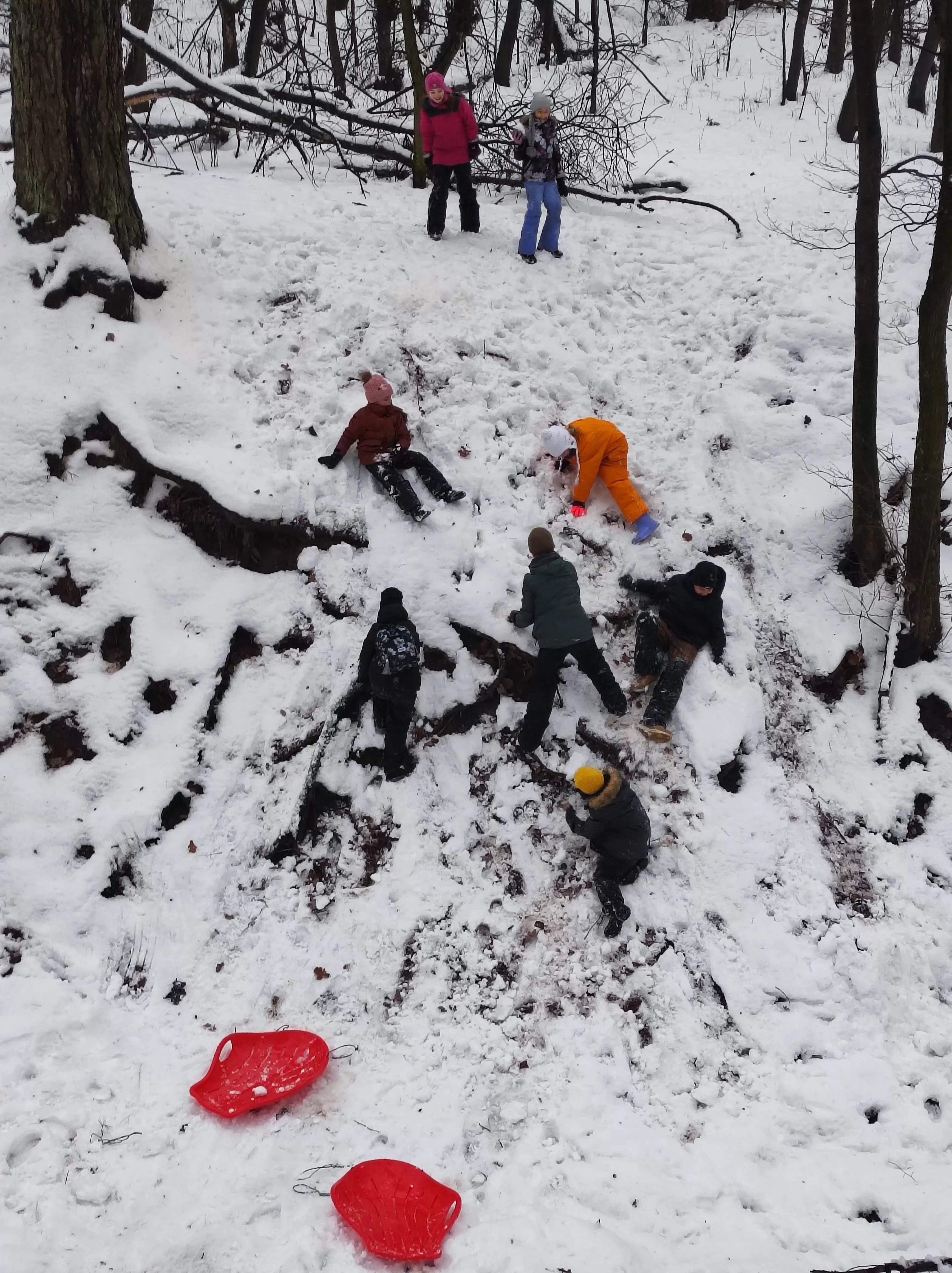 Pirkti bilietus ŽYGIS miške VILNIUJE. 7-11 m. jaunuoliams. Subalansuota ir vyresniems Vilnius, Panerių erozinio kalvyno kraštovaizdžio draustinis Vasaris 07