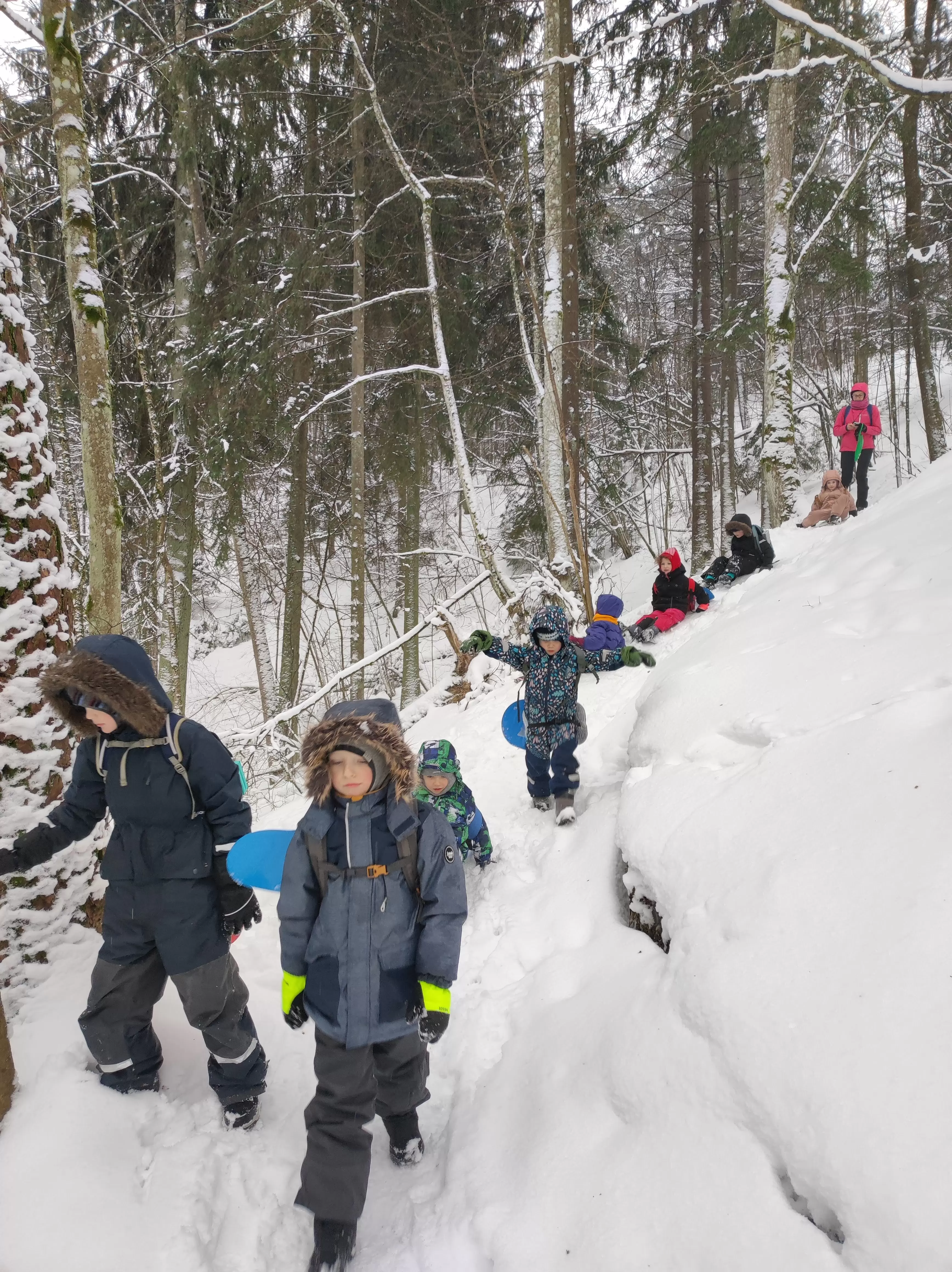 Pirkti bilietus Patyriminis atostogų sniego žygelis 5-10 m. vaikams, Vilniaus miškuose. Subalansuota ir vyresniems. Vilnius, Ribiškių miško parkas Vasaris 18