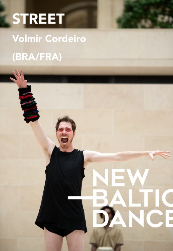 Pirkti bilietus Volmir Cordeiro (Brazilija / Prancūzija) - STREET Vilnius, Nacionalinė dailės galerija Balandis 17