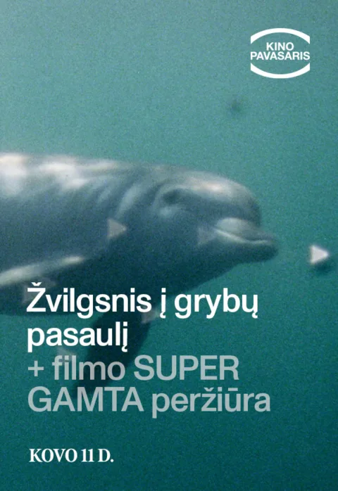 Pirkti bilietus KINO PAVASARIS: Žvilgsnis į grybų pasaulį su Aurelija Plūke + filmo „Super gamta“ peržiūra Vilnius, Forum Cinemas Vingis (11 salė) Kovas 11