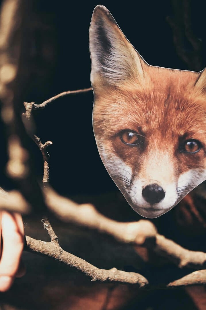 Pirkti bilietus Lėlių spektaklis KAD TAVE ŽĄSIS! Klaipėda, Klaipėdos lėlių teatras Kovas 29