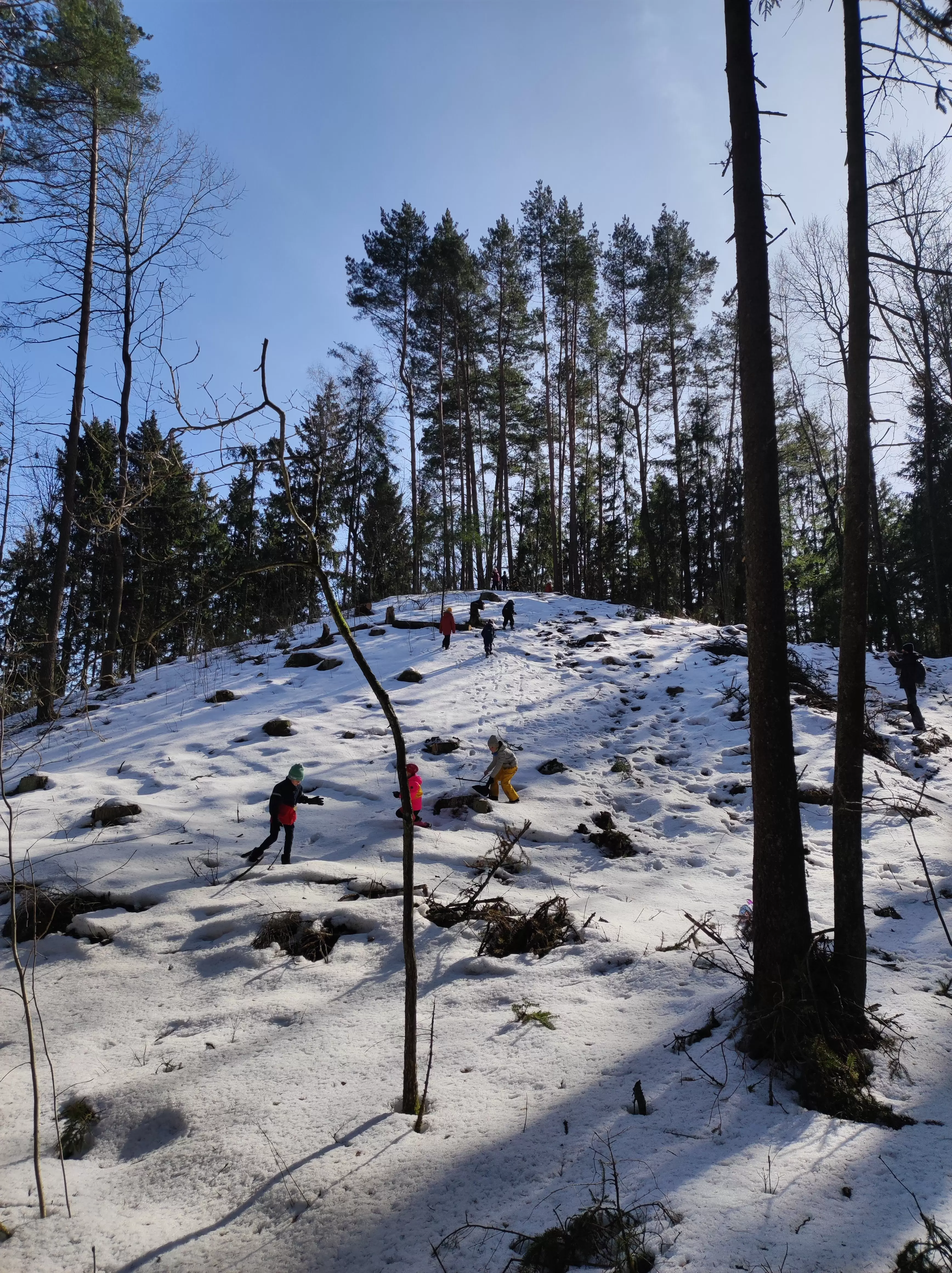 Pirkti bilietus Patyriminis ŽYGIS su žaidimais 6-11 metų vaikams, VILNIAUS miškuose. Subalansuota ir vyresniems Vilnius, Pavilnių regioninis parkas Vasaris 28