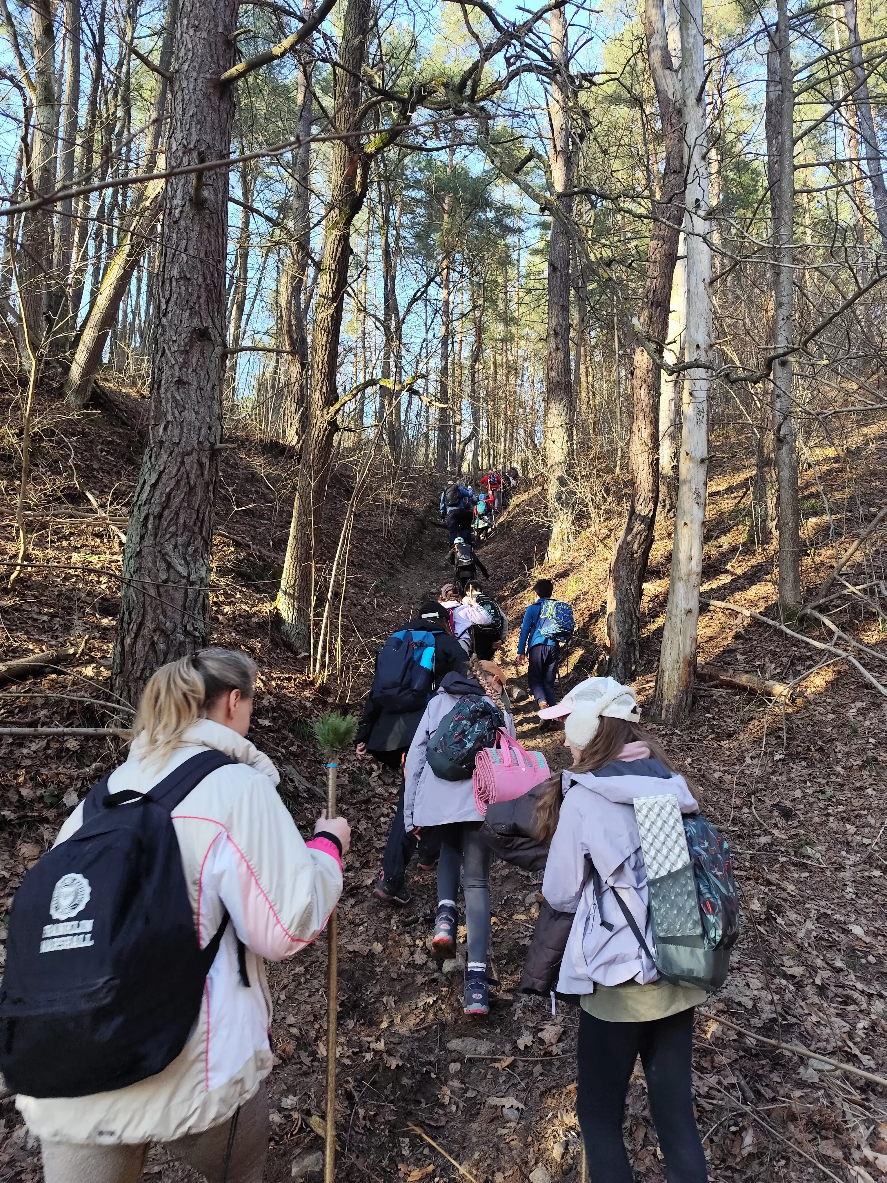 Pirkti bilietus Patyriminis Žygis su žaidimais į NAKTĮ !!! 6-11 metų vaikams miške VILNIUJE. Subalansuota ir vyresniems Vilnius, Panerių erozinio kalvyno kraštovaizdžio draustinis Kovas 21