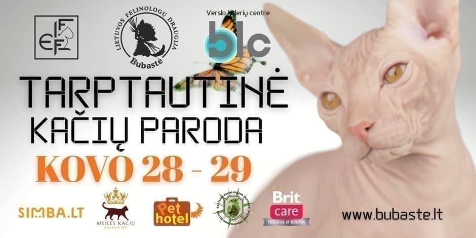 Pirkti bilietus Tarptautinė kačių paroda „Kaunas spring show“ Kaunas, Nacionalinis M. K. Čiurlionio dailės muziejus Kovas 28