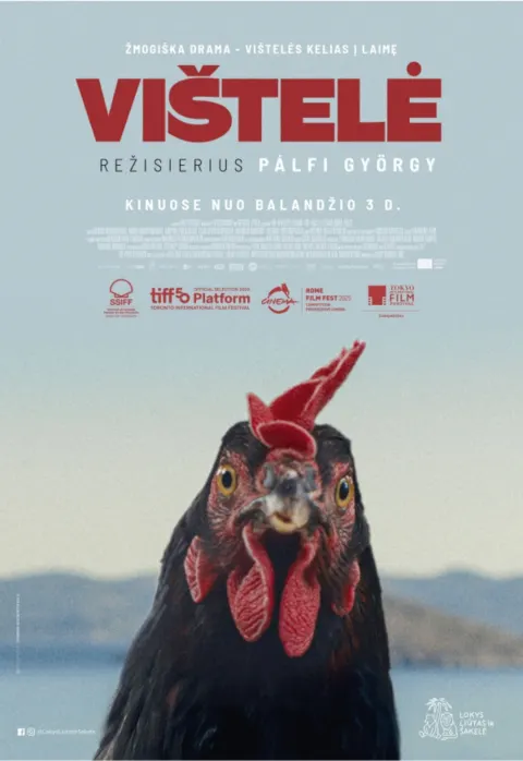 Pirkt biļetes Vištelė | Garsas Panevėžys, Stasys Museum Aprīlis 04