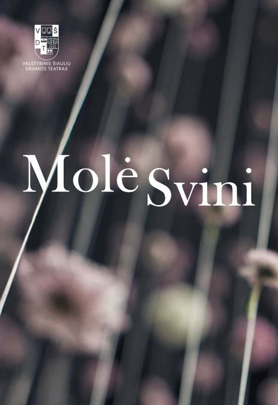 Pirkti bilietus VŠDT premjera | MOLĖ SVINI | rež. Gytis Padegimas Šiauliai, Valstybinis Šiaulių dramos teatras Gegužė 29