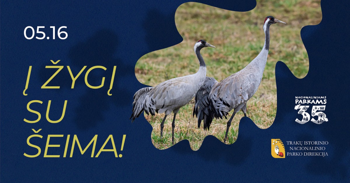 Pirkti bilietus Į parką su šeima. Nacionaliniams parkams 35 Trakai, Bražuolės piliakalnis Gegužė 16