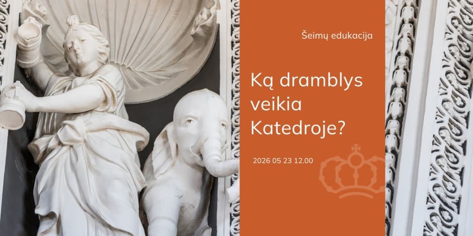 Pirkti bilietus Šeimų edukacija „Ką dramblys veikia Katedroje?“ Vilnius, Vilniaus katedros varpinė Gegužė 23