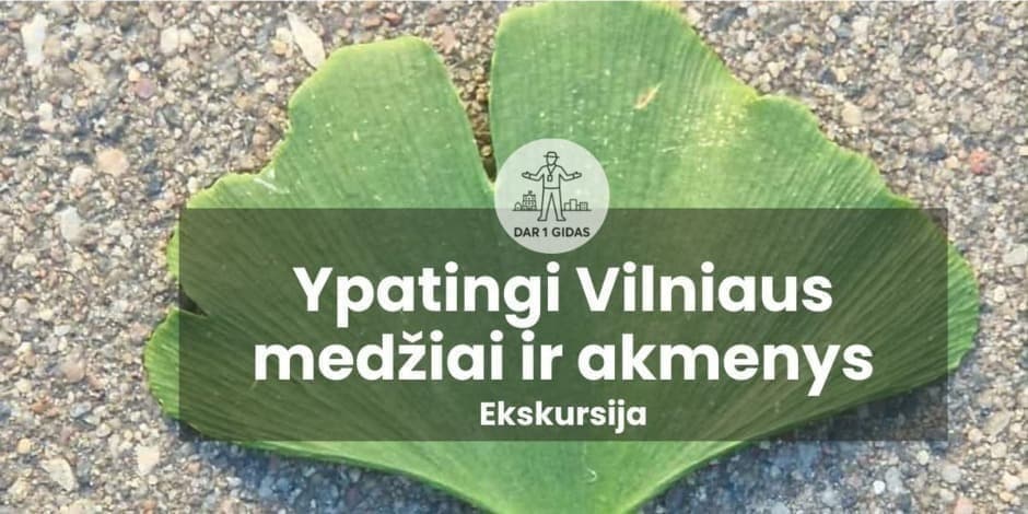 Pirkti bilietus Ekskursija Ypatingi Vilniaus medžiai ir akmenys Vilnius, Paminklas LDK didžiajam kunigaikščiui Gediminui Gegužė 30