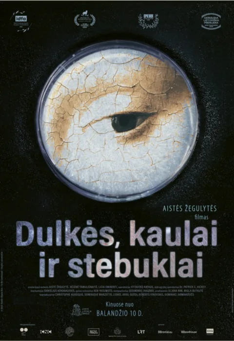 Pirkti bilietus Dulkės, kaulai ir stebuklai | Garsas Panevėžys, Stasys Museum Gegužė 17