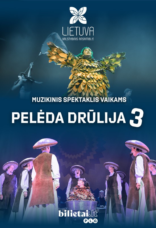 Pirkti bilietus (Trakai) Pelėda Drūlija 3 | diena NE Trakai, Trakų kultūros ir meno centras Lapkritis 26