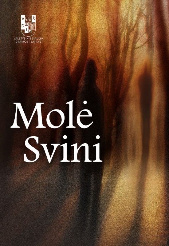 Pirkti bilietus VŠDT premjera | MOLĖ SVINI | rež. Gytis Padegimas Šiauliai, Valstybinis Šiaulių dramos teatras Rugsėjis 10