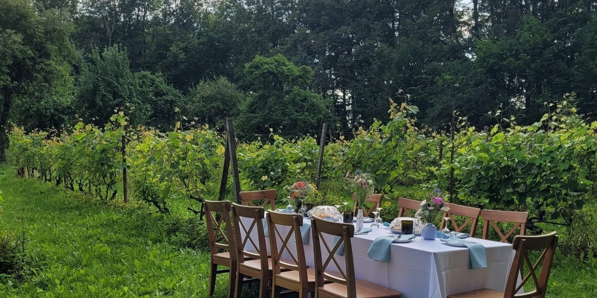 Pirkti bilietus Degustacija Zyplių dvaro vynuogyne Tubeliai, Zyplių dvaras Liepa 03