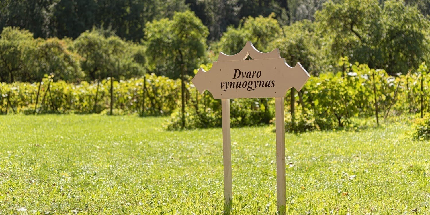 Pirkti bilietus Degustacija Zyplių dvaro vynuogyne liepos 4 d. Tubeliai, Zyplių dvaras Liepa 04