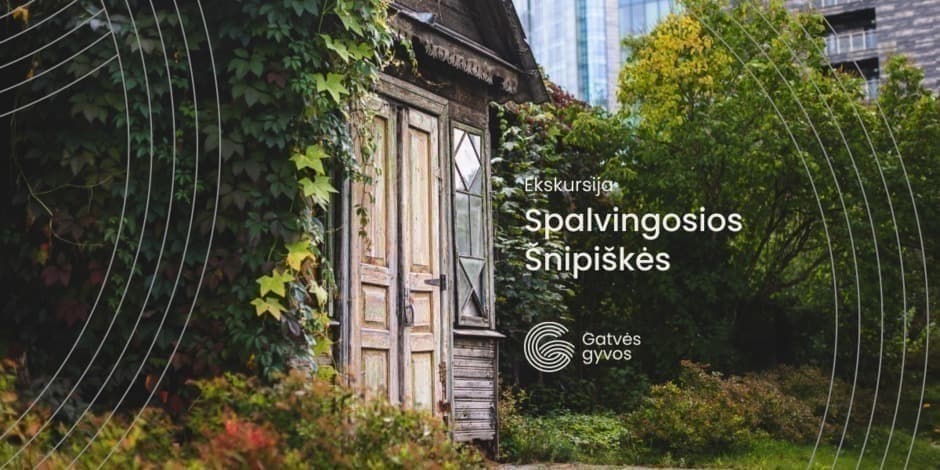 Pirkti bilietus Ekskursija „Spalvingosios Šnipiškės“ Vilnius, Kalvarijų g. 2 Liepa 28