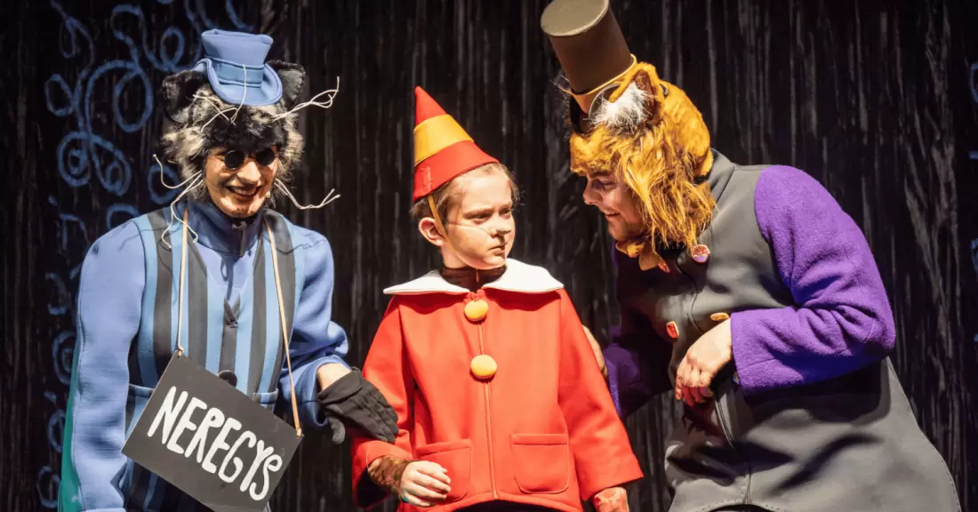 Pirkti bilietus Pinokis Vilnius, Raganiukės teatras 2027 Sausis 24