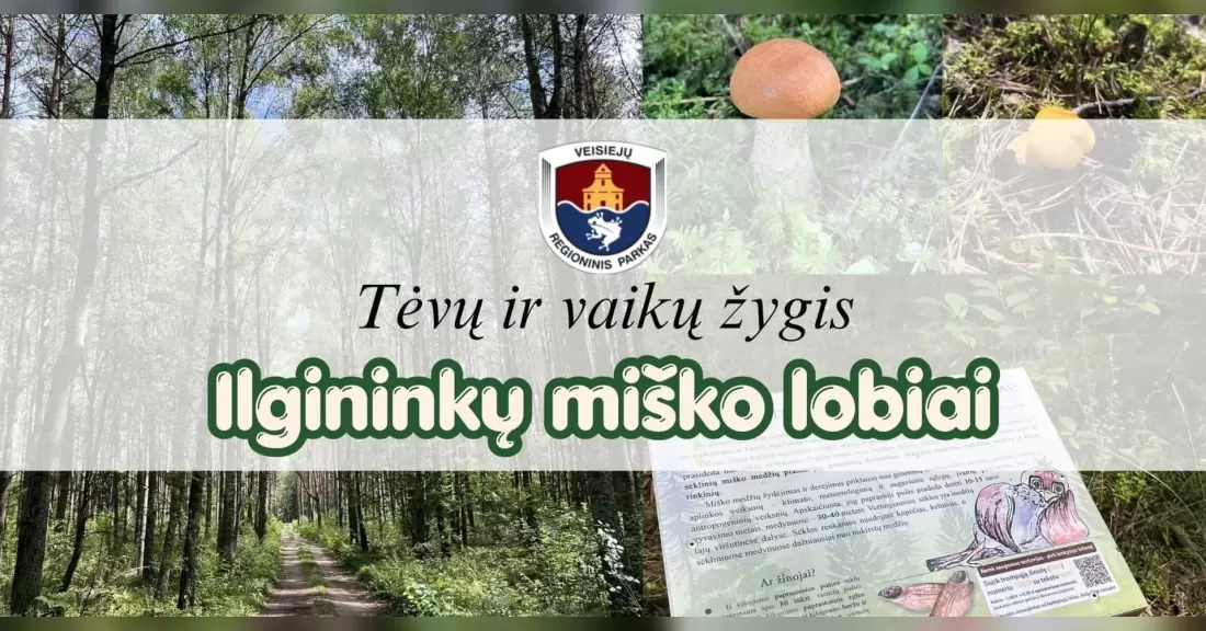 Pirkti bilietus Tėvų ir vaikų žygis “Ilgininkų miško lobiai” Veisiejų regioniniame parke Lazdijų rajono savivaldybė, Santarvės g. 9 Rugpjūtis 22