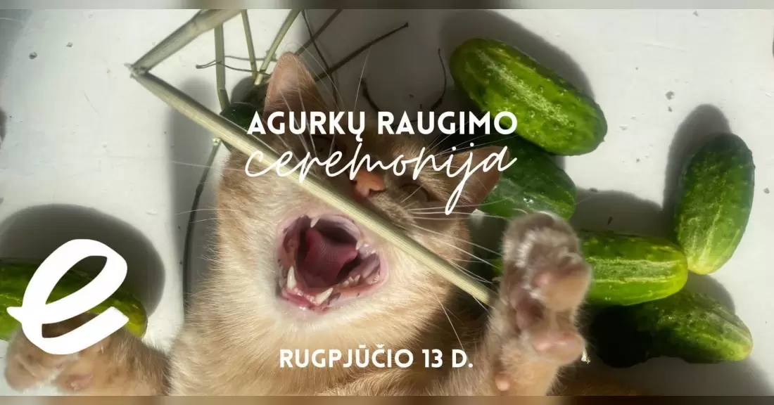Pirkti bilietus Agurkų raugimo ceremonija Klaipėda, Galerija Energija Rugpjūtis 13