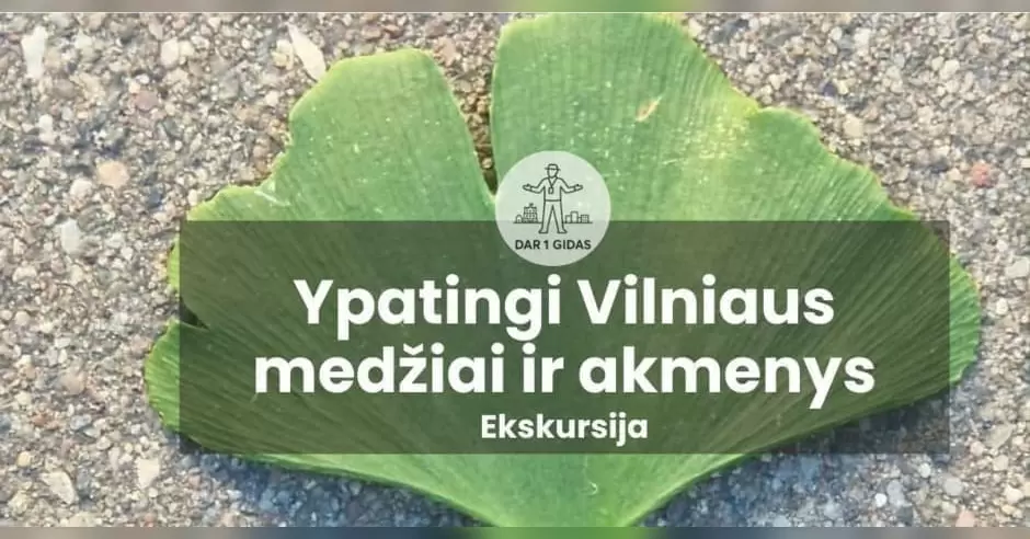 Pirkti bilietus Ekskursija Ypatingi Vilniaus medžiai ir akmenys Vilnius, Paminklas LDK didžiajam kunigaikščiui Gediminui Rugpjūtis 29