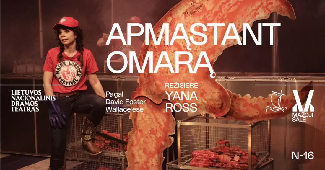 Pirkti bilietus Pagal David Foster Wallace esė. APMĄSTANT OMARĄ, rež. Yana ROSS Vilnius, Lietuvos nacionalinis dramos teatras Gruodis 03