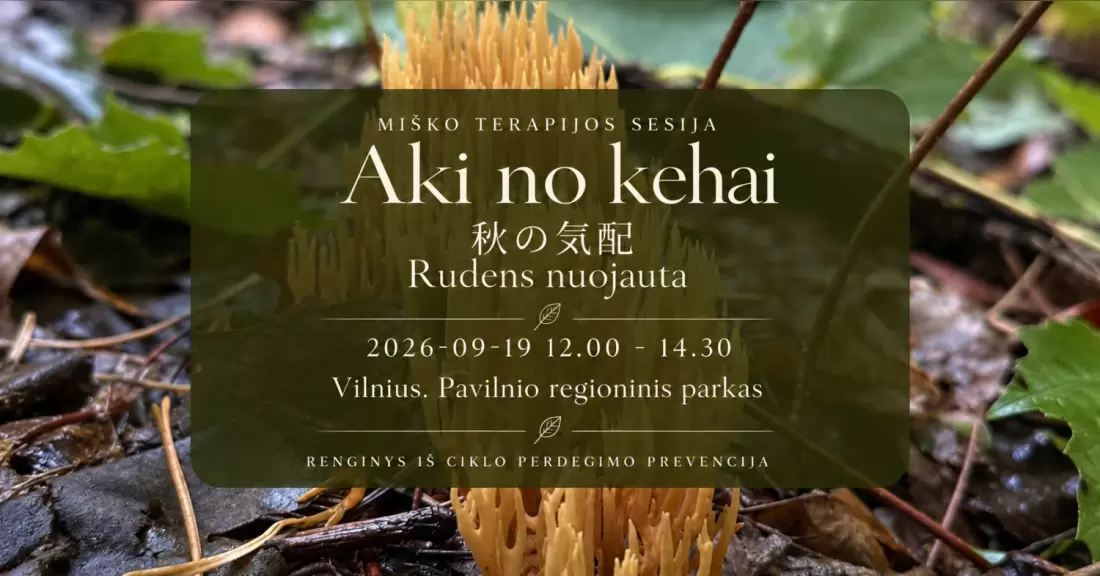Pirkti bilietus Miško terapijos sesija: Aki no kehai | Rudens nuojauta Vilnius, Pavilnio regioninis parkas. Prie Tores Bravoras kavinės. Rugsėjis 19