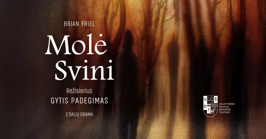 Pirkti bilietus VŠDT premjera | MOLĖ SVINI | rež. Gytis Padegimas Šiauliai, Valstybinis Šiaulių dramos teatras Gruodis 06-10