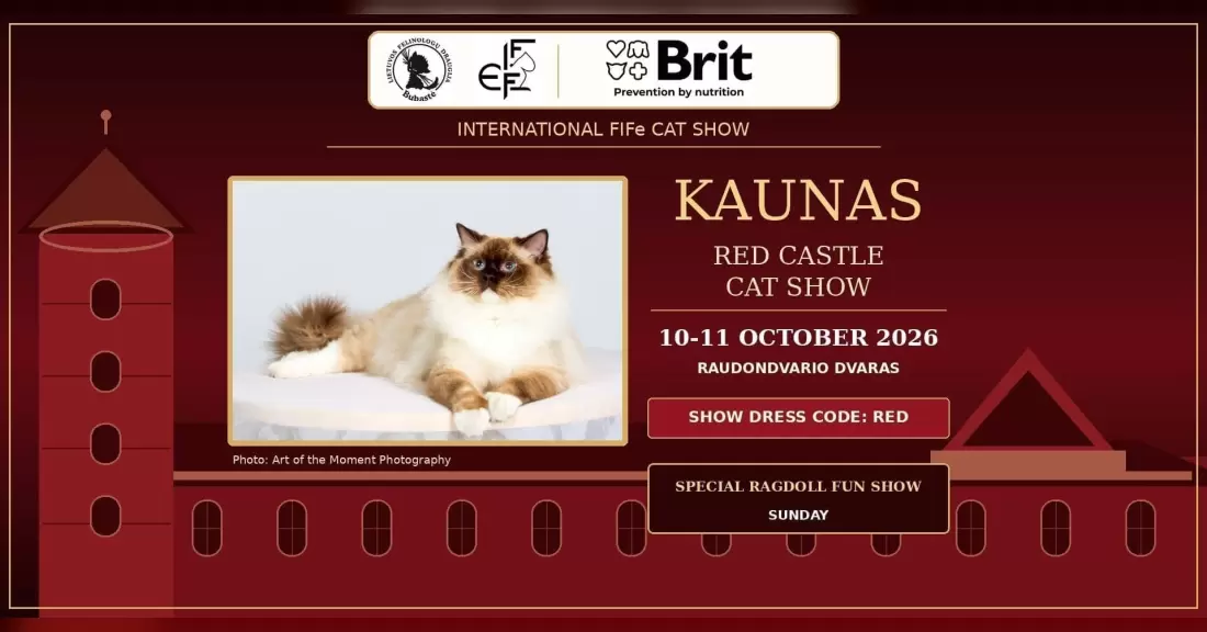 Pirkti bilietus Tarptautinė kačių paroda Kaune 