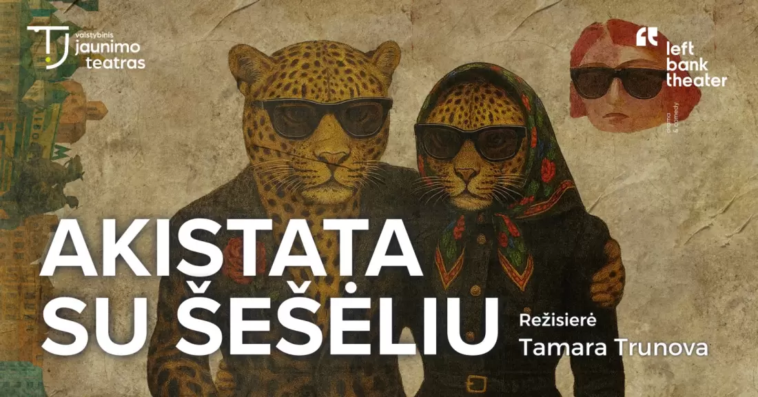 Pirkti bilietus AKISTATA SU ŠEŠĖLIU. Rež. Tamara Trunova Vilnius, Valstybinis jaunimo teatras Lapkritis 11