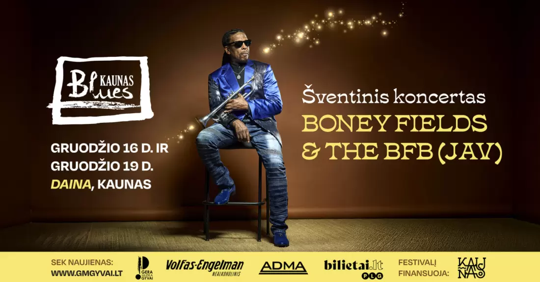 Pirkti bilietus Festivalis Kaunas Blues: šventinis koncertas | Kaunas Kaunas, Daina Gruodis 16