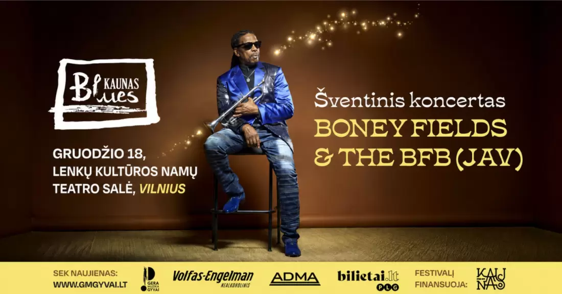 Pirkti bilietus Festivalis Kaunas Blues: šventinis koncertas | Vilnius Vilnius, Vilniaus lenkų kultūros namai Gruodis 18