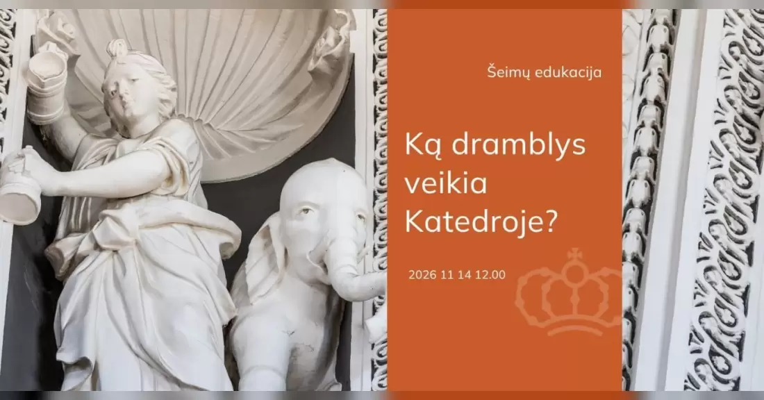 Pirkti bilietus Šeimų edukacija „Ką dramblys veikia Katedroje?“ Vilnius, Vilniaus katedros varpinė Lapkritis 14