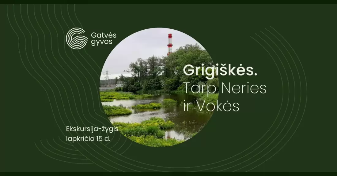Pirkti bilietus Ekskursija-žygis po Grigiškes Grigiškės, Grigiškių Šventosios Dvasios koplyčia Lapkritis 15
