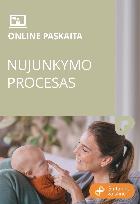Купить билеты Web seminaras 