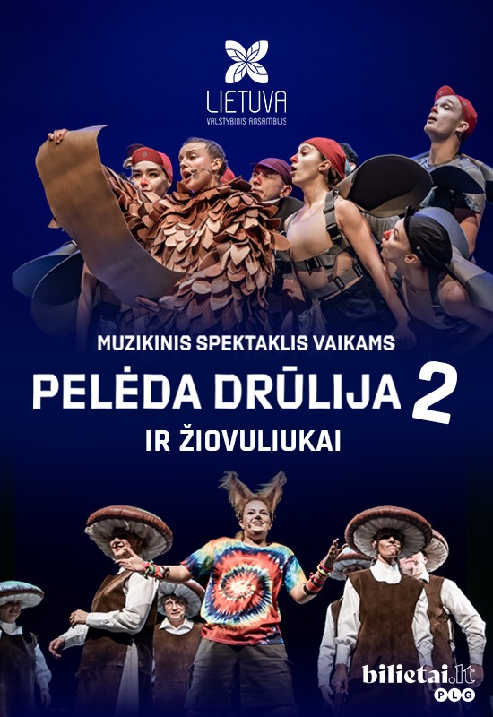 Pirkt biļetes (Trakai) Pelėda Drūlija ir žiovuliukai Trakai, Trakų kultūros rūmai Decembris 04