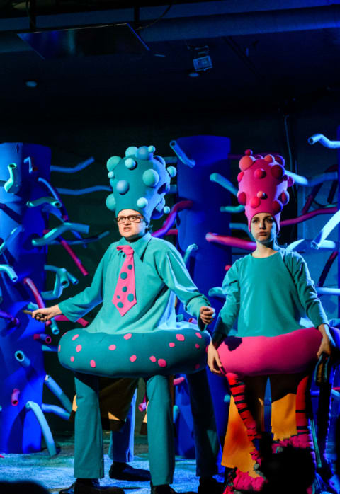 Pirkti bilietus Pagal Renatos Muchos poeziją „MUSĖ“ (Rež. Agnė Sunklodaitė) Vilnius, Vilniaus Senasis Teatras Rugsėjis 24