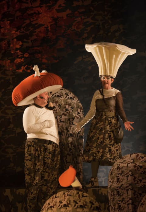 Pirkti bilietus GRYBŲ KARAS || Muzikinis spektaklis vaikams Vilnius, Vilniaus teatras „Lėlė“ Rugsėjis 07