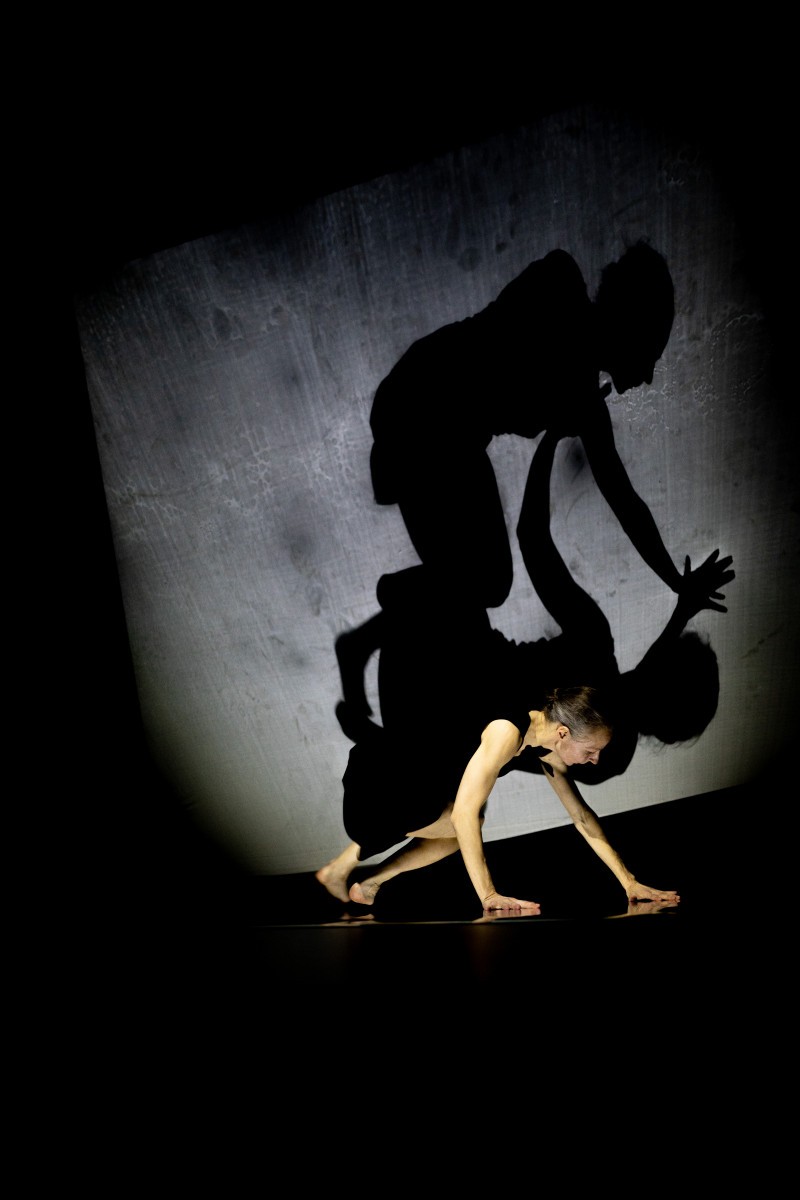 Pirkti bilietus Šokio ir šešėlių monospektaklis suaugusiesiems KONTŪRAI Klaipėda, Klaipėdos lėlių teatras Spalis 11