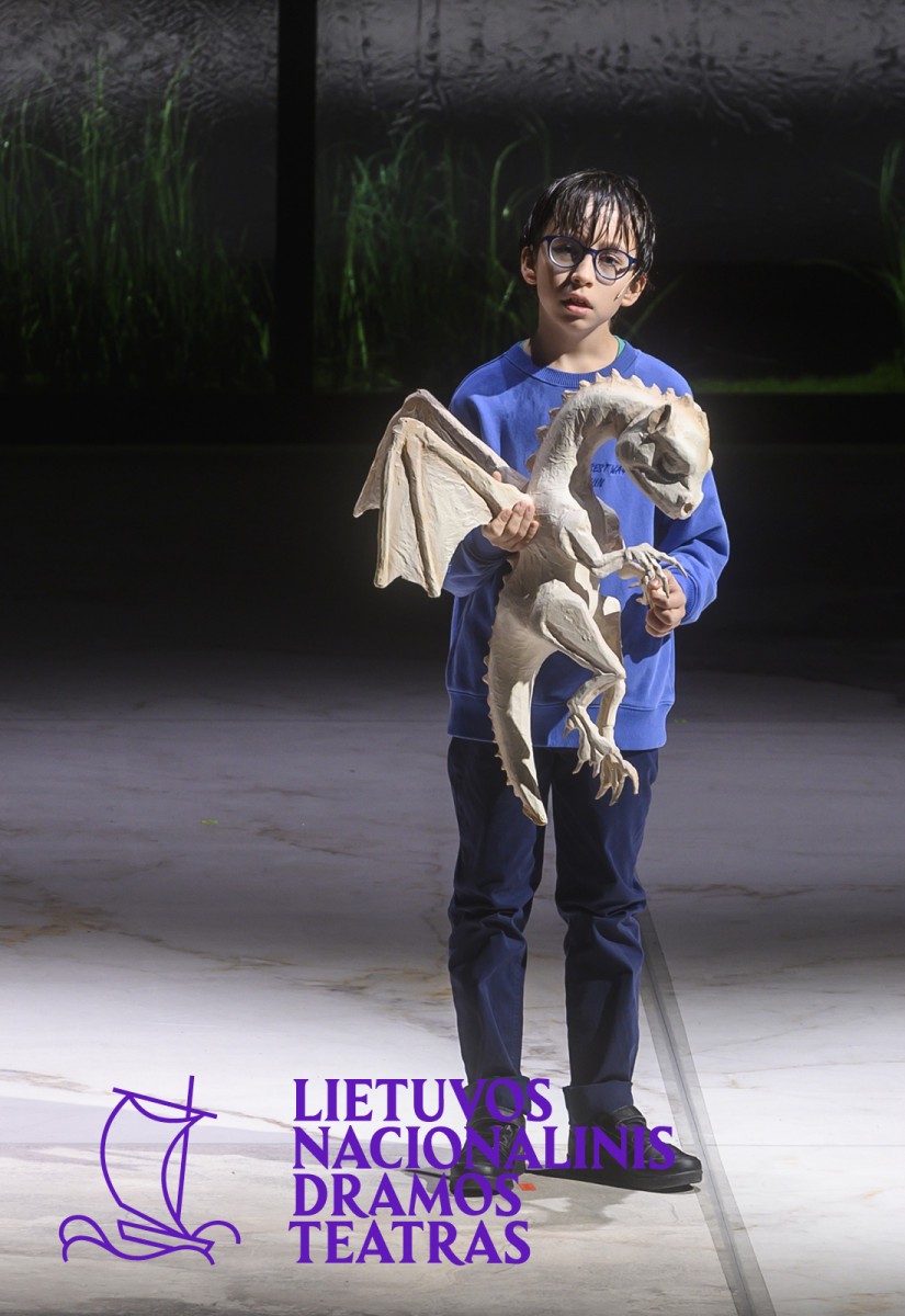 Pirkti bilietus DALYKAI, KURIŲ NEIŠDRĮSAU PASAKYTI, IR DABAR JAU PER VĖLU. Dramaturgė ir režisierė Kamilė Gudmonaitė Vilnius, Lietuvos nacionalinis dramos teatras Gruodis 12