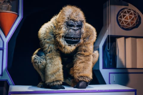 Buy tickets EVOLIUCIJA || Mokslinis nuotykis visai šeimai Vilnius, Vilniaus teatras „Lėlė“ October 11