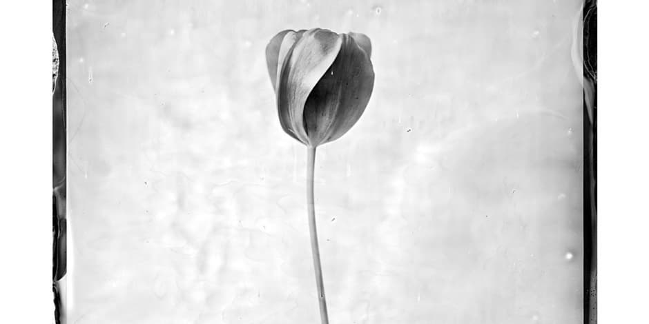 Pirkti bilietus Meno degustacija vaikams spalio 26 d. Vilnius, AP Galerija Spalis 26