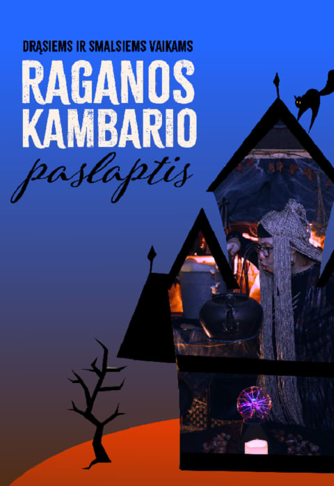 Pirkti bilietus Paslaptinga viešnagė Raganos kambaryje Alytus, Alytaus kultūros centras Spalis 29