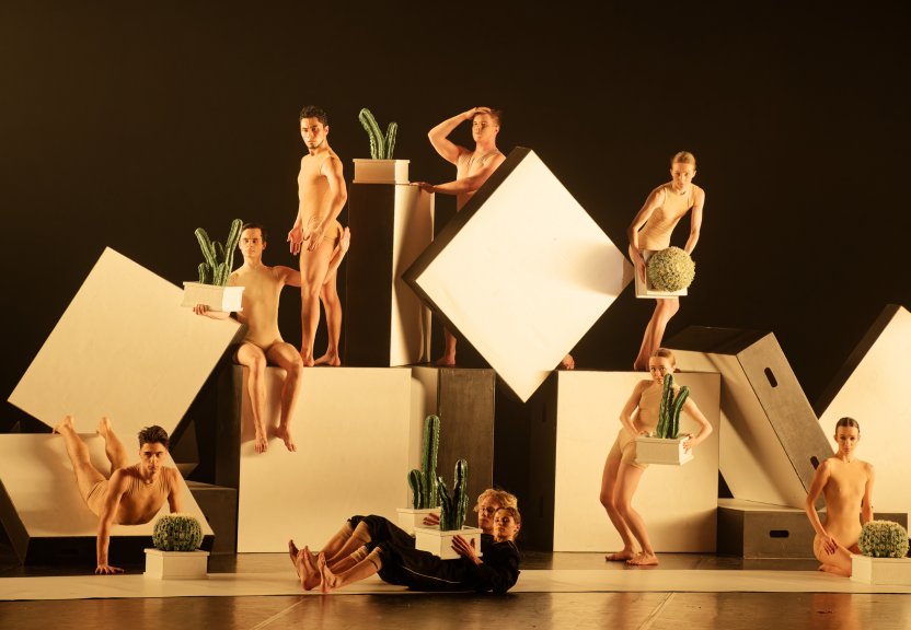 Pirkti bilietus Kaktusai+ Vilnius, Lietuvos nacionalinis operos ir baleto teatras Gruodis 12