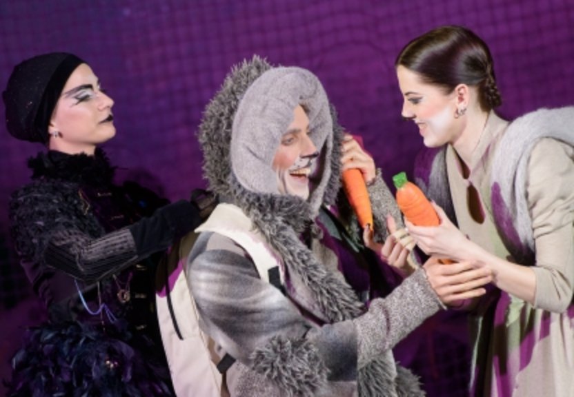 Buy tickets ZUIKIS PUIKIS Vilnius, Lietuvos nacionalinis operos ir baleto teatras January 18