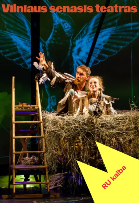 Buy tickets David Almond „MANO TĖTIS – SKRAJŪNAS“ (Rež. Agnė Sunklodaitė) Vilnius, Vilniaus Senasis Teatras February 15