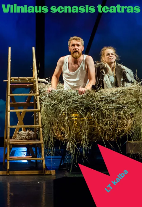 Купить билеты David Almond „MANO TĖTIS – SKRAJŪNAS“ (Rež. Agnė Sunklodaitė) Vilnius, Vilniaus Senasis Teatras Февраль 15