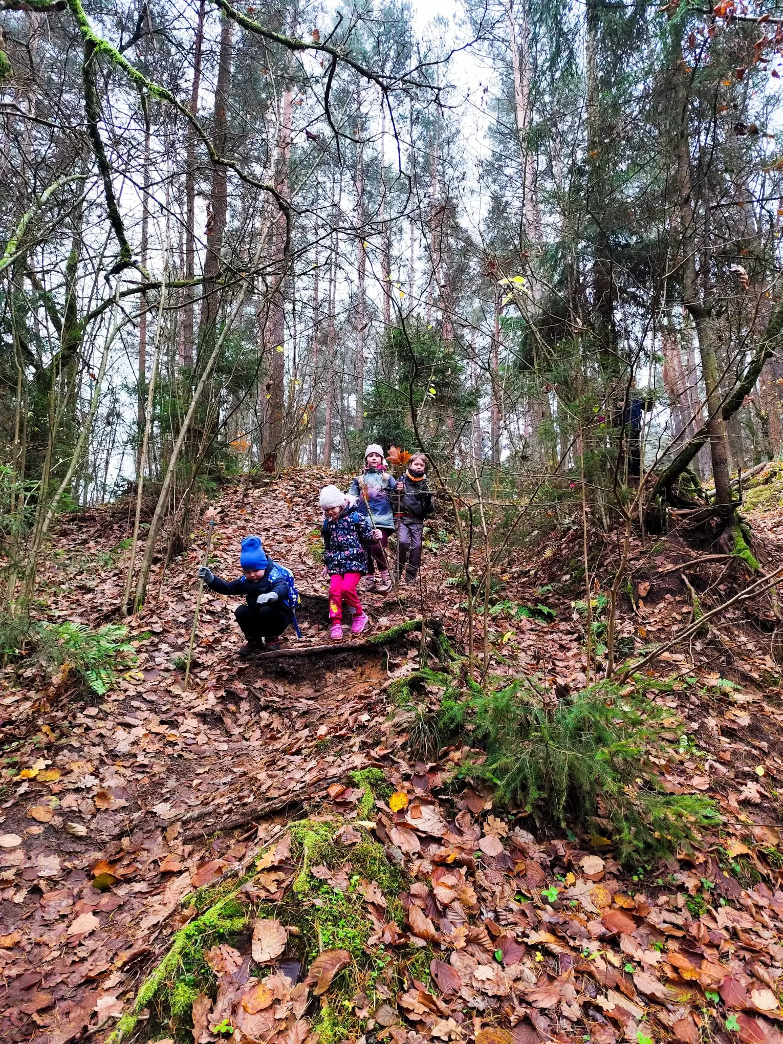 Pirkti bilietus Patyriminis ŽYGELIS su žaidimais, 5-10 metų vaikams, KLAIPĖDOS miškuose Klaipėda, Kukuliškių miškas Lapkritis 30
