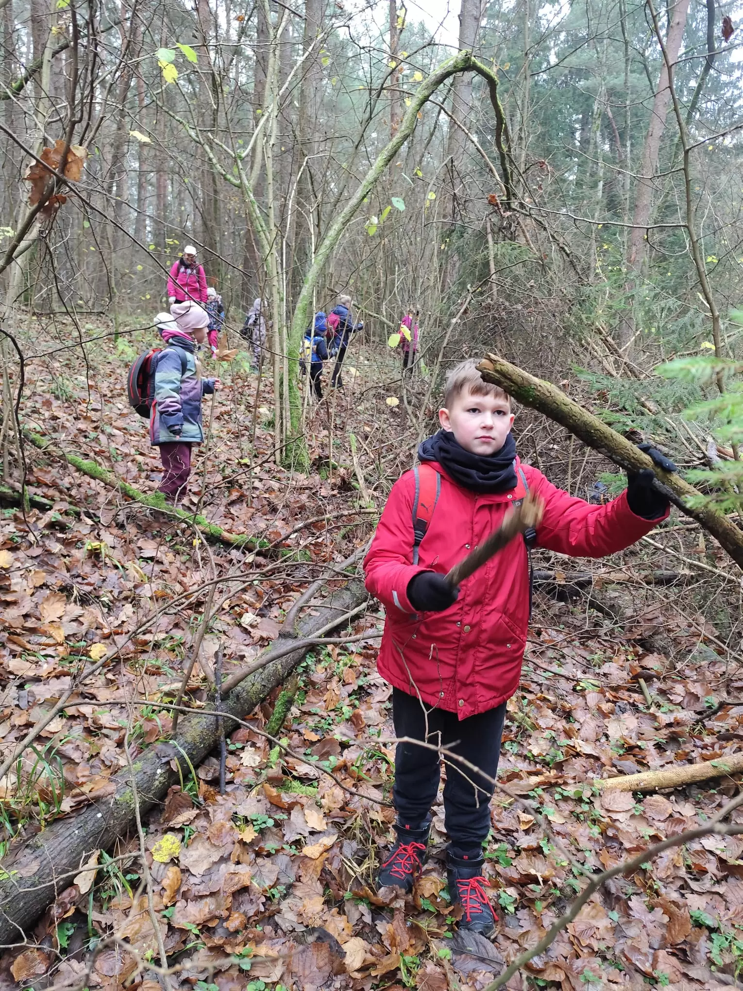Pirkti bilietus Patyriminis ŽYGELIS su žaidimais, 5-10 metų vaikams, KLAIPĖDOS miškuose Klaipėda, Kukuliškių miškas Gruodis 06